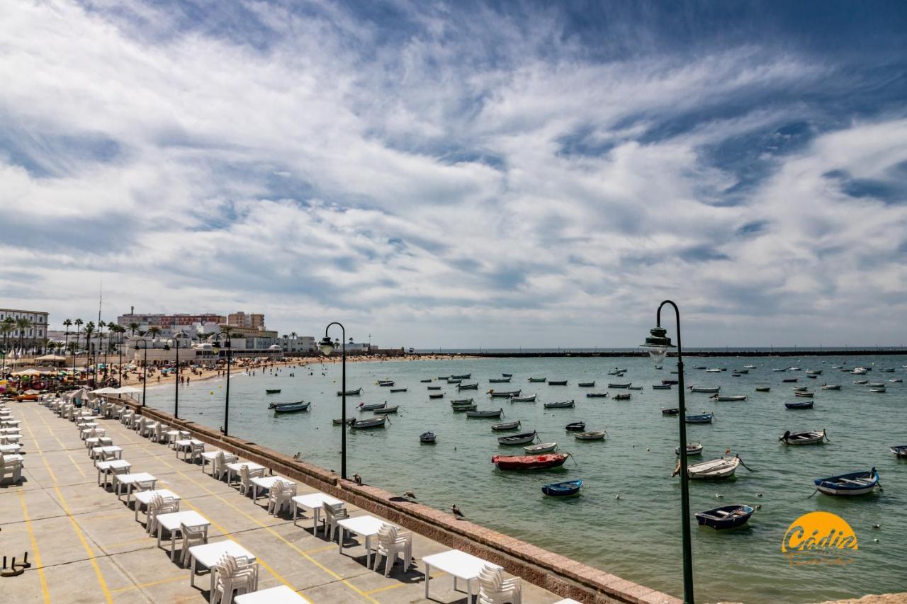 La Luz De La Vina - Free Parking By Cadiz Time Apartment Exterior foto